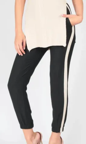 Ponte stripe Pant